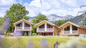 A row of wooden cabins with balconies, set in a meadow with mountains in the background. - Chalet  with 4 bedrooms & wellness (Biberwier)