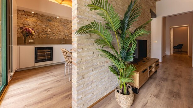 A modern living room with a stone wall, wooden flooring, a large potted plant, a fireplace, and a TV stand. - Bravissimo Plaça de la Independència, Garden View; High-quality luxury apartment (Girona)