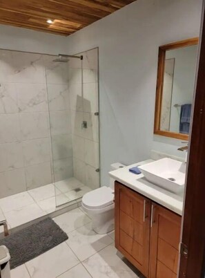 Une salle de bain avec une douche à parois de verre, des toilettes blanches, un meuble-lavabo en bois et un miroir au-dessus du lavabo.