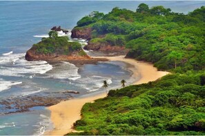 Paesaggio costiero con spiaggia sabbiosa, vegetazione lussureggiante e affioramenti rocciosi.