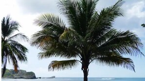 Une plage avec des palmiers, un bateau et une tente.