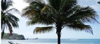 Nosara Blue: Casa Castro - Walk to Sunsets! BBQ!