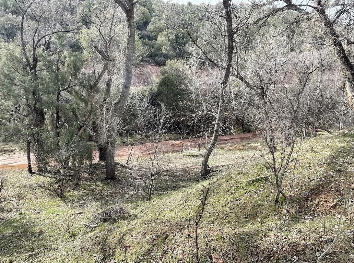 A natural landscape with trees and a dirt path.