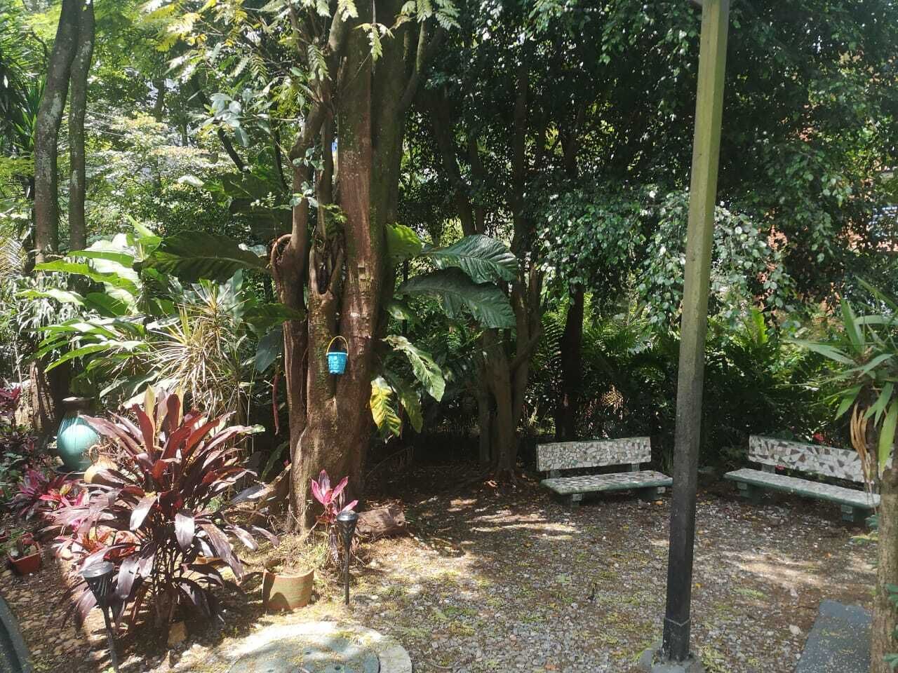 Un jardín con un banco de piedra, un árbol y diversas plantas.