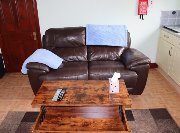 Télévision à écran plat, lecteur de DVD