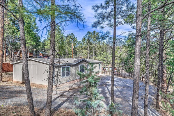 A house surrounded by tall pine trees with a gravel driveway and a wooden deck.