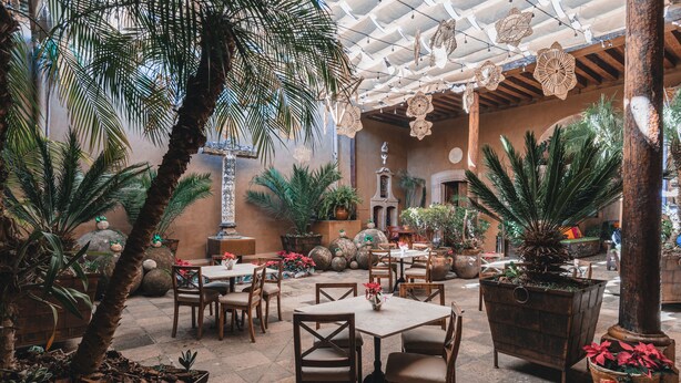 An indoor patio area with tables and chairs, surrounded by potted plants and palm trees.