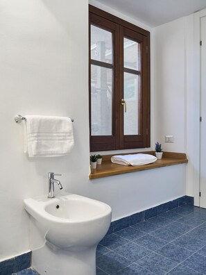 Suihku, hiustenkuivaaja, bidee, pyyhkeet