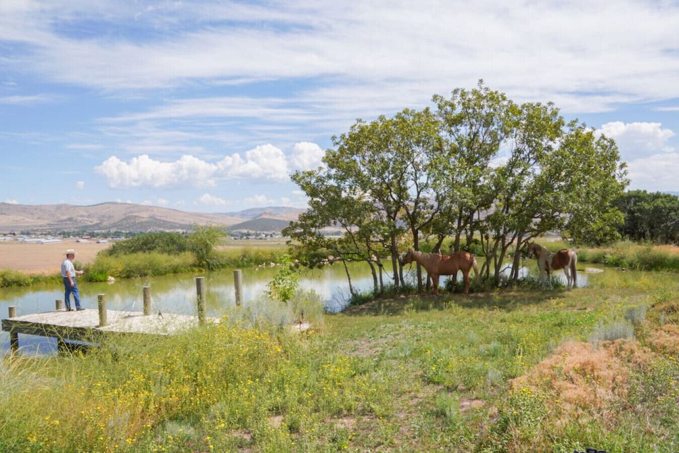 A man standing on a dock by a calm river, with horses grazing nearby and a tree-lined landscape in the background.