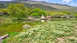 Un entorno tranquilo junto al lago, con un muelle de madera, un edificio pequeño y abundante vegetación.