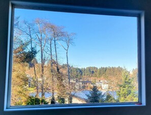 Vista desde una ventana a una zona residencial con casas, árboles y un cielo azul despejado.