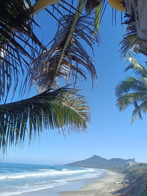 Una platja amb palmeres i un cel blau clar.