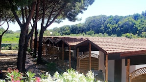 A row of wooden cabins with tiled roofs, surrounded by trees and a garden with white and pink flowers.