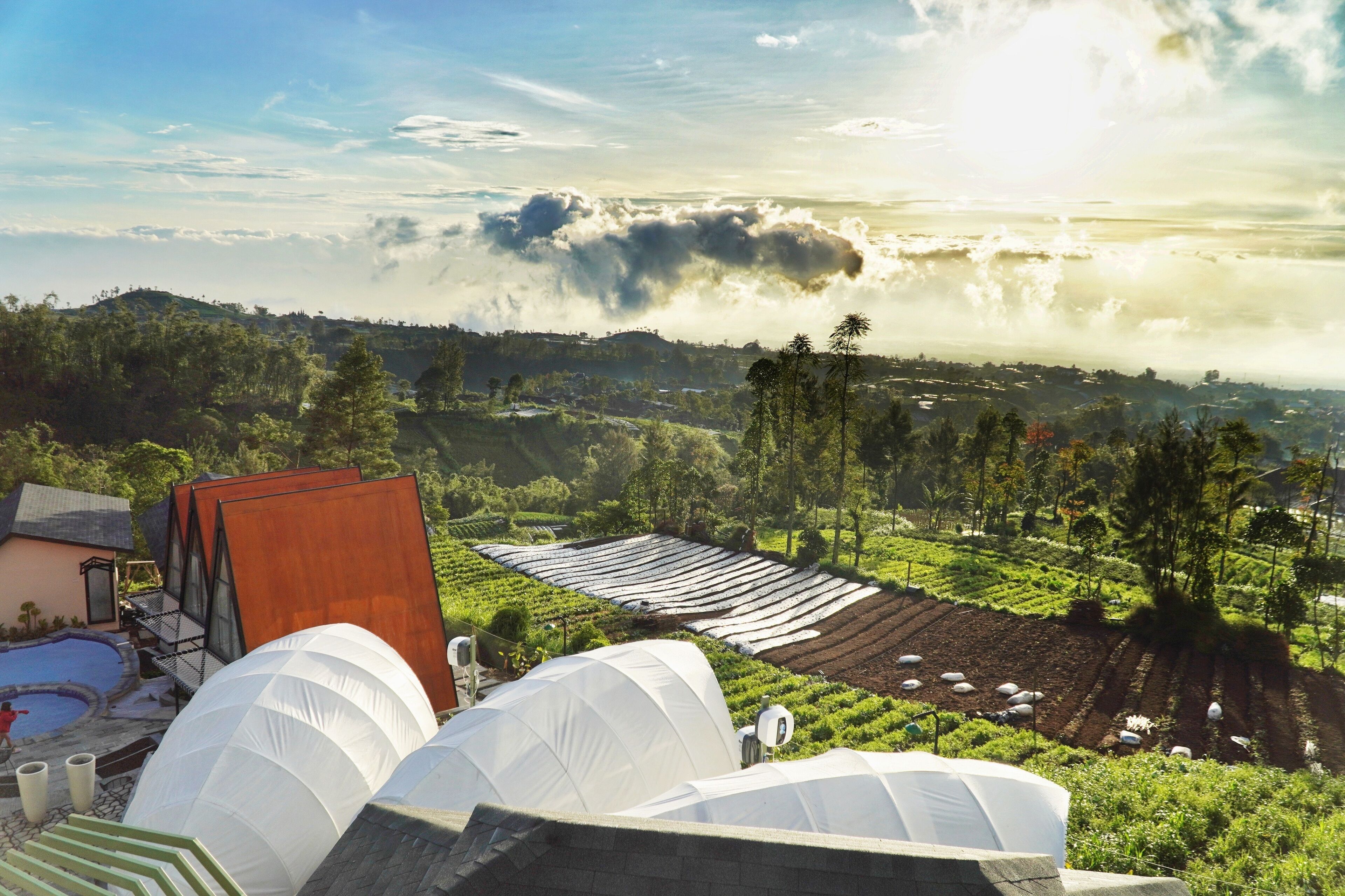 A view of a greenhouse with rows of plants, a swimming pool, and a building with a sloped roof.