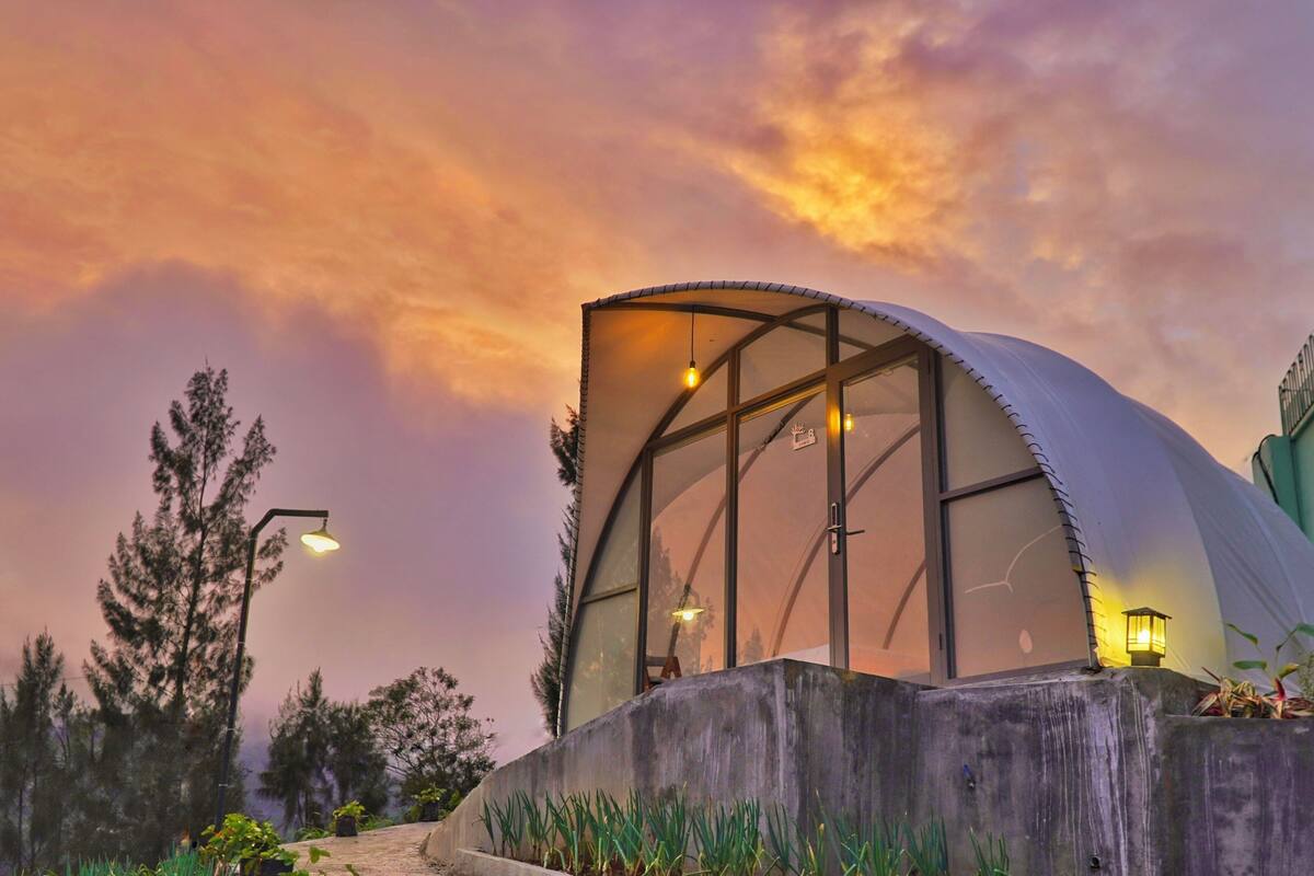 A modern, curved glass structure with a metal frame, surrounded by greenery and a street lamp.