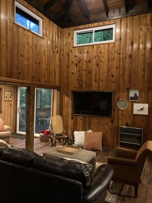 Smart TV, chimenea, reproductor de DVD y libros 