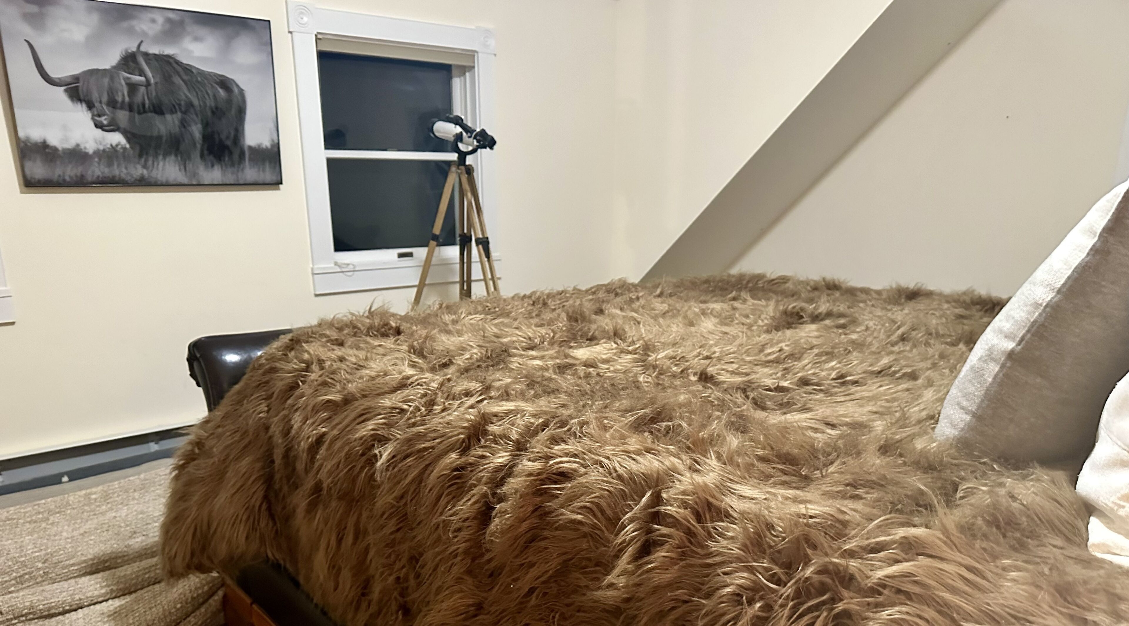 Quarto com um tapete grande e fofo, um tripé com câmera e um quadro de um touro na parede.
