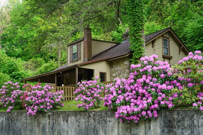 Beautiful 3bdrm Cabin°Hot Tub°Balcony°Parking°