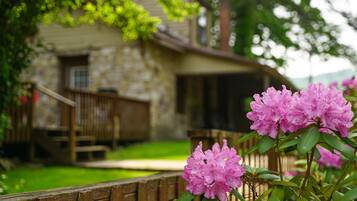 Detalle del exterior