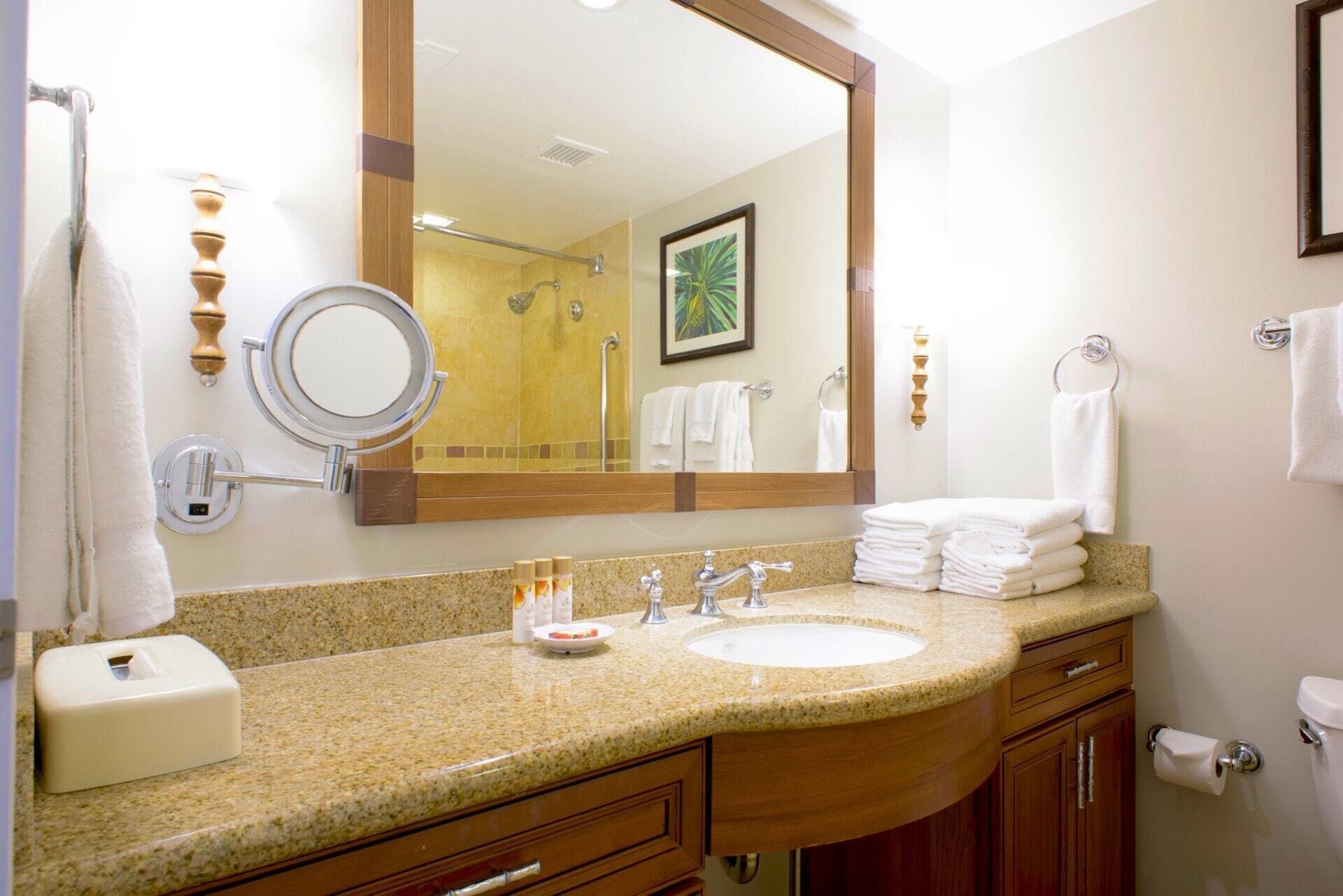 Combined shower/tub, hair dryer