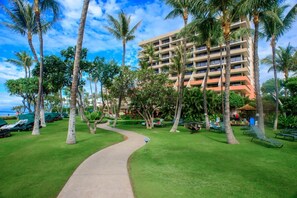 A resort with a pathway leading to a building surrounded by palm trees and greenery.