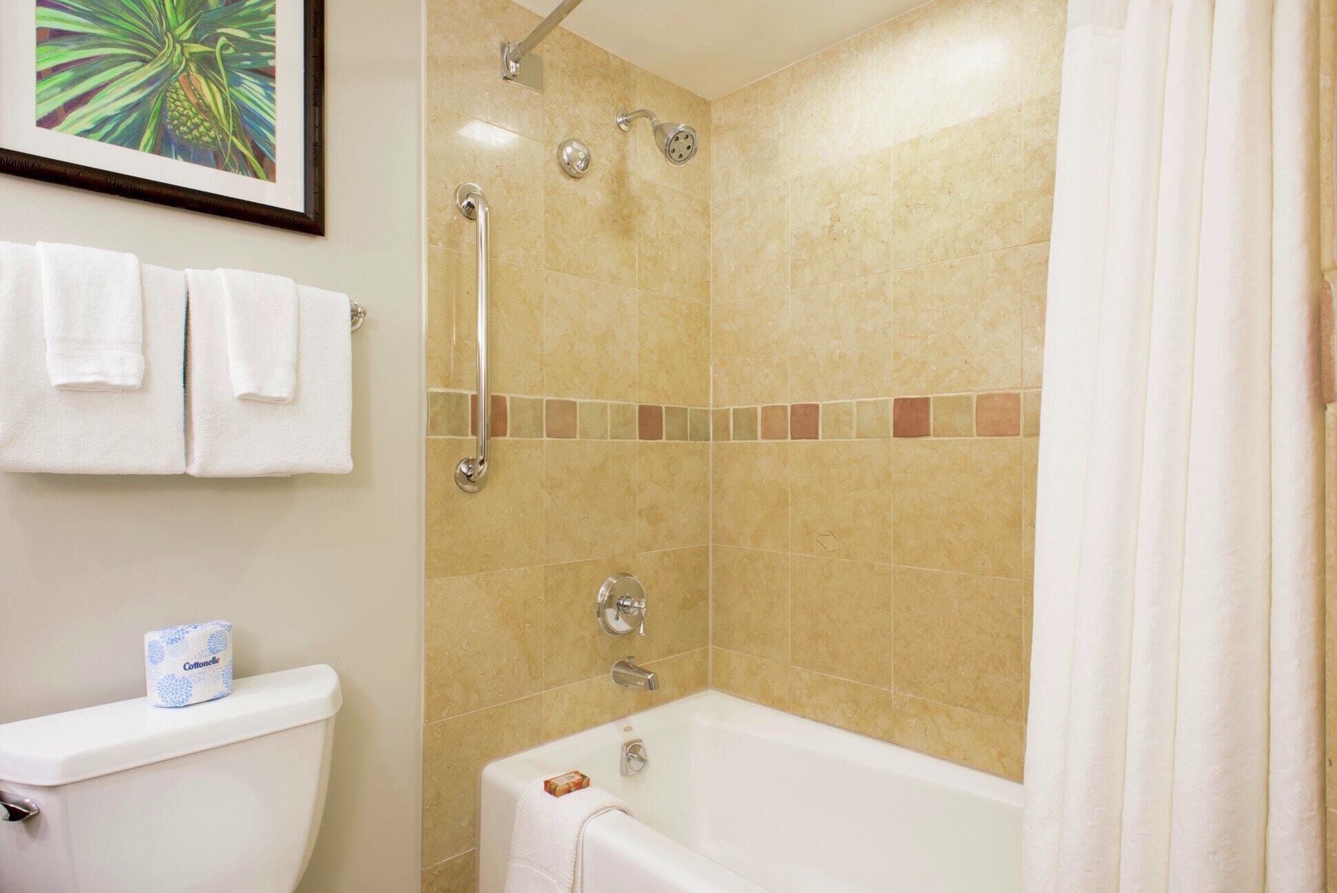 Combined shower/tub, hair dryer