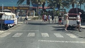 Une rue bordée de palmiers, une plage et une pizzeria.