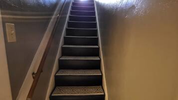 A staircase with patterned carpet leading to a bright area.