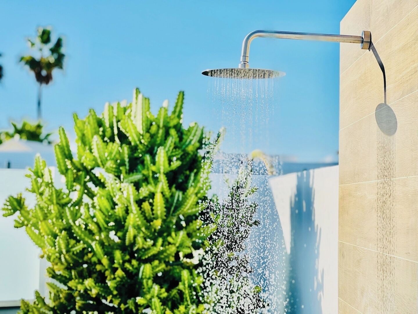 A modern showerhead with water flowing into a wall-mounted basin.