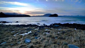 A rocky shoreline with sparse vegetation and a distant view of mountains under a cloudy sky.