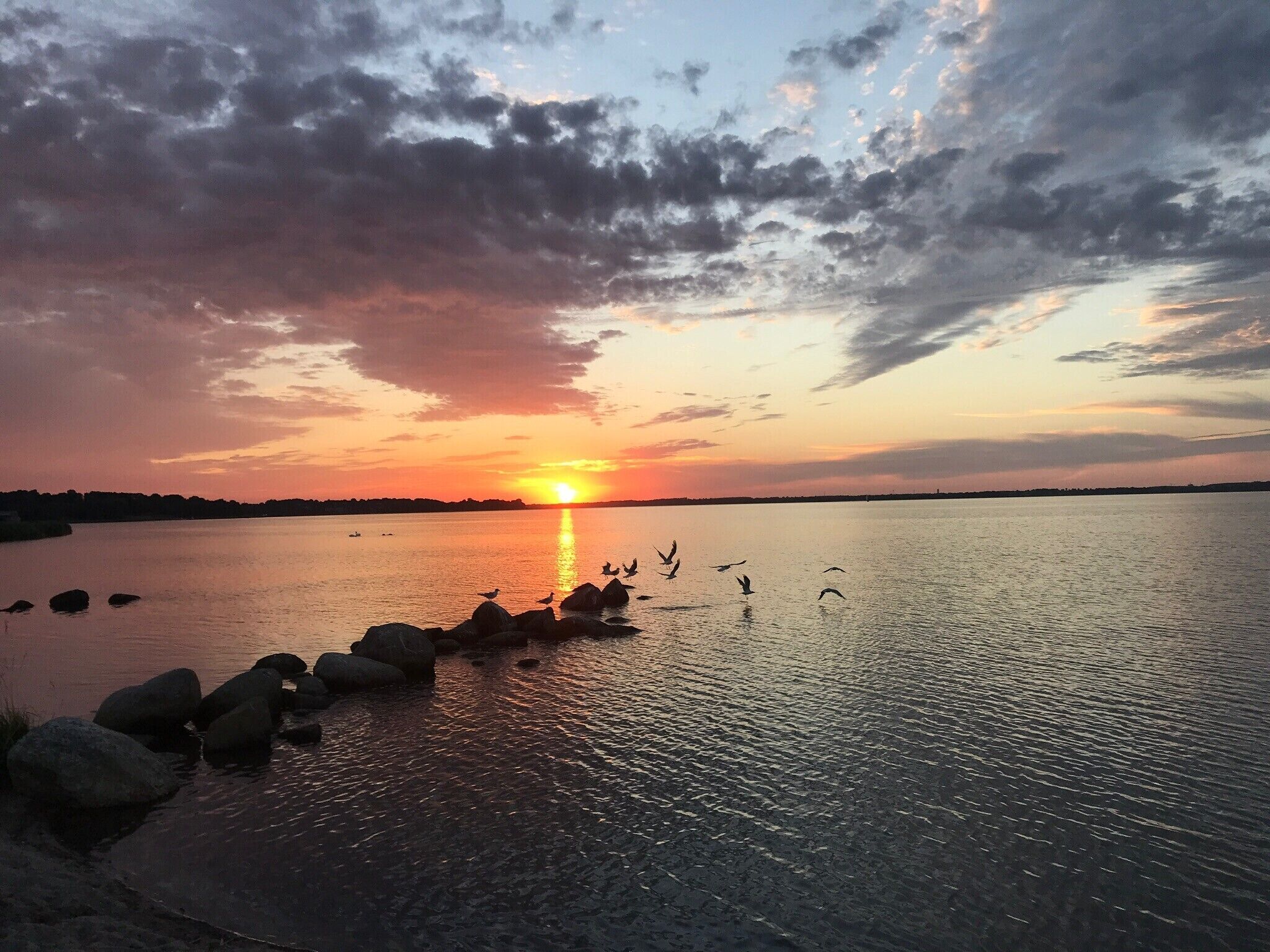 Un atardecer sobre una masa de agua tranquila, con rocas en primer plano y siluetas de aves a lo lejos.