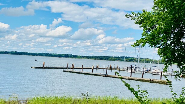 A calm lake with a dock extending into the water, surrounded by greenery and a clear sky.