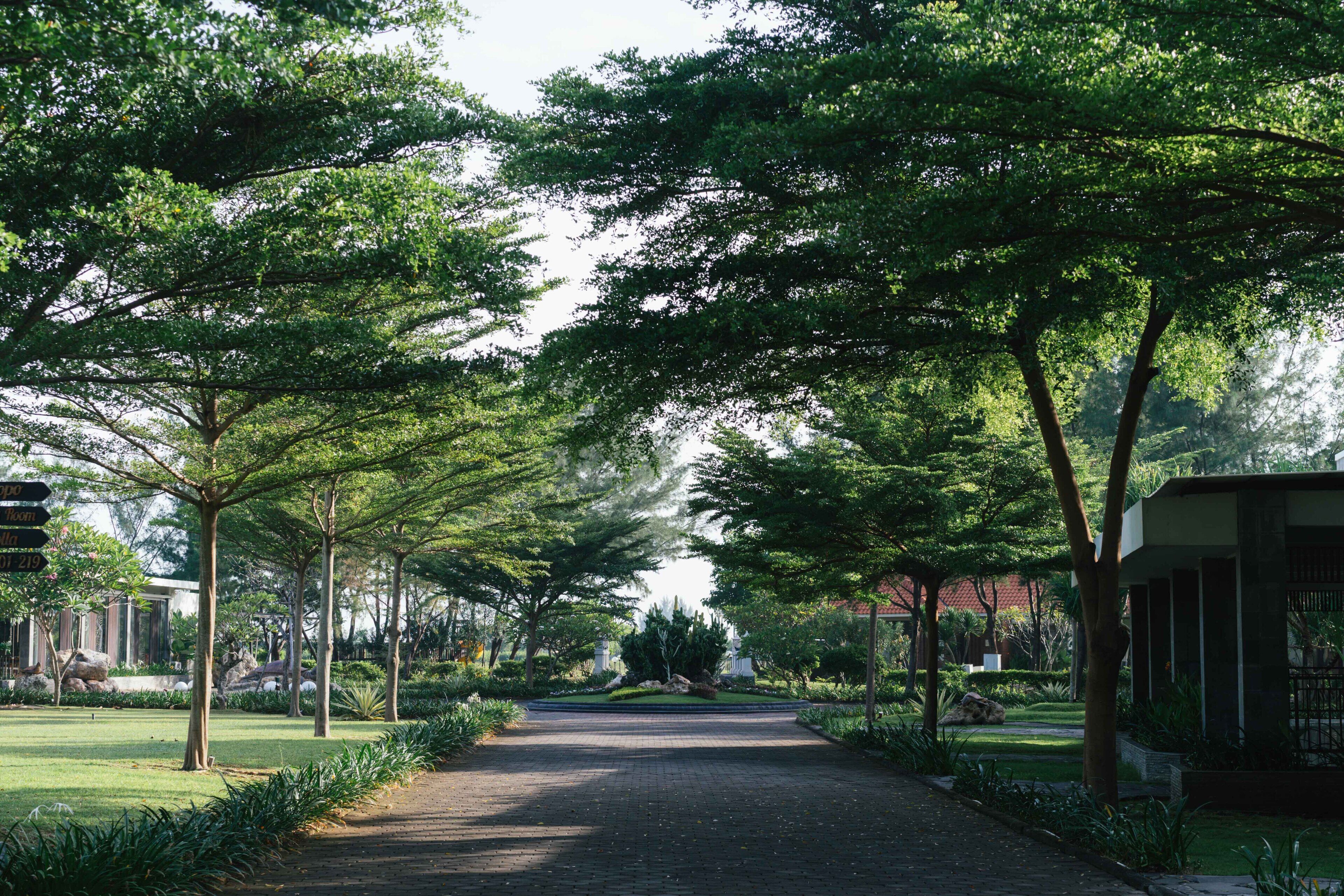 Pemandangan dari properti