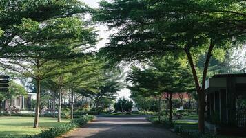 Pemandangan dari properti