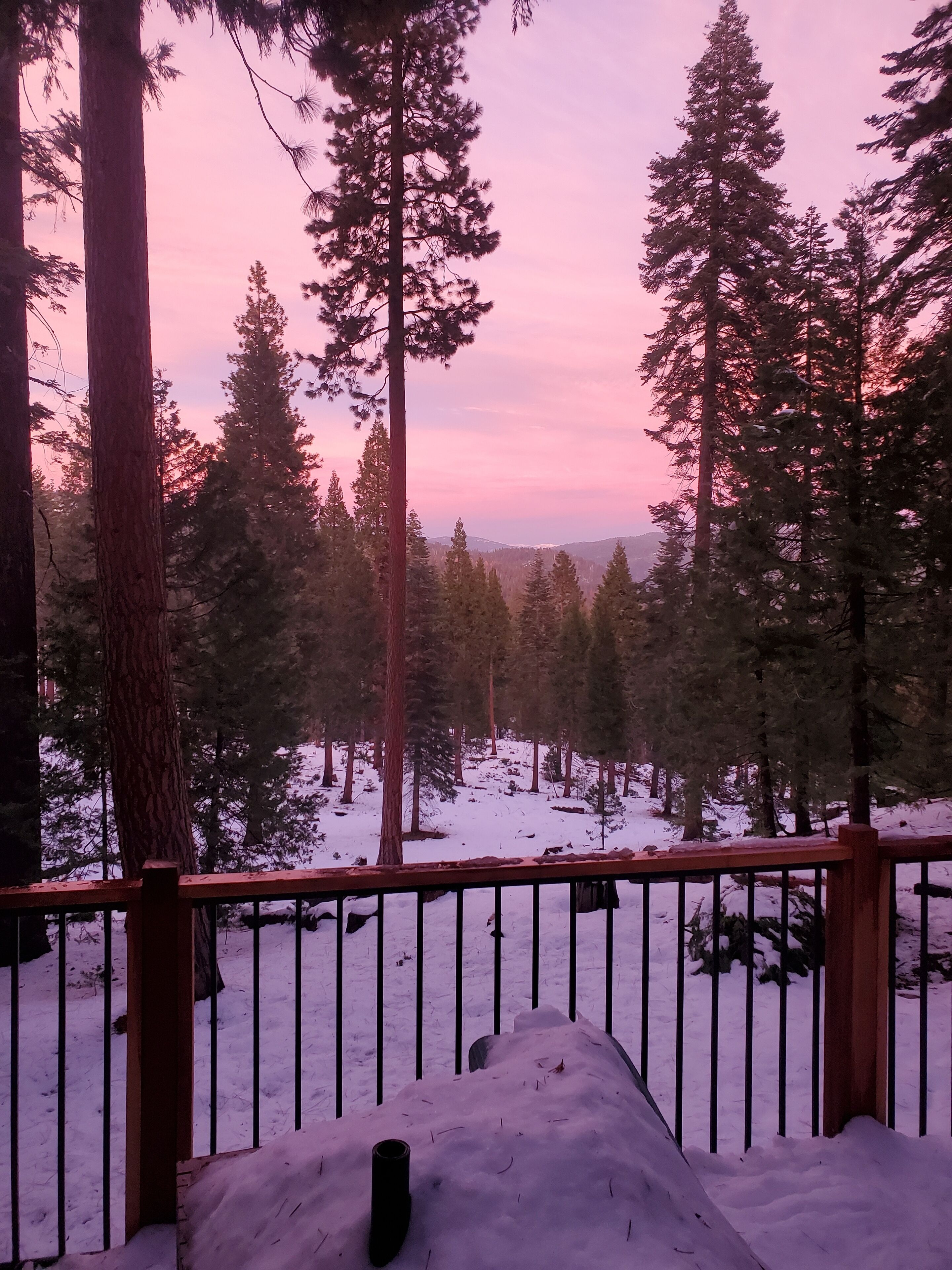 Summer Vacation - Forest - Great Views, Jetted tub, KgBd, firepit, kids love it!