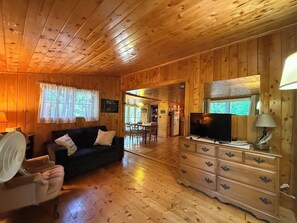 Smart TV, fireplace, books