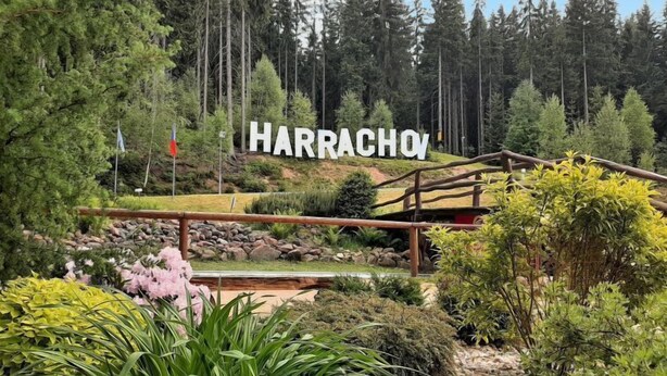 Schild mit dem Schriftzug 'HARRACHOV' in einer bewaldeten Gegend mit einer Holzbrücke und verschiedenen Pflanzen.