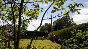 A well-maintained garden with a lawn, trees, and purple flowers.
