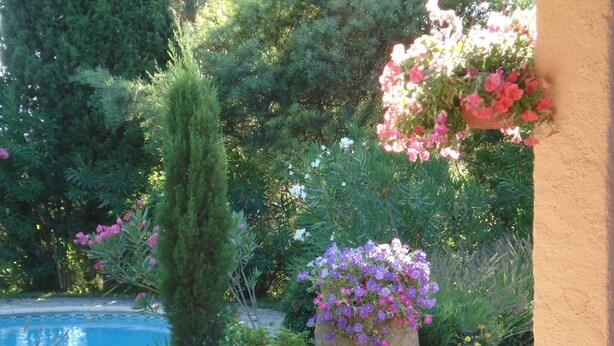 Un jardin avec une piscine, entouré de différentes plantes et fleurs.