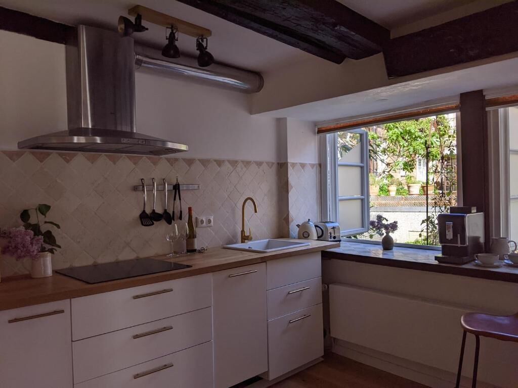 Een keuken met een roestvrijstalen afzuigkap, een spoelbak en een raam met uitzicht op groen.