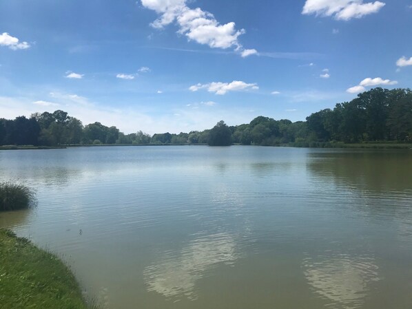 A calm lake with a clear sky and trees in the background.