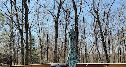 Agapé Cabin Lyfe near Cave Run Lake
