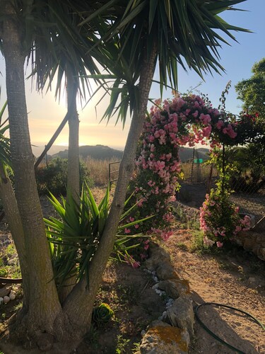 Ferienhaus "Las Niñas" mit Meerblick, privater Terrasse und Garten