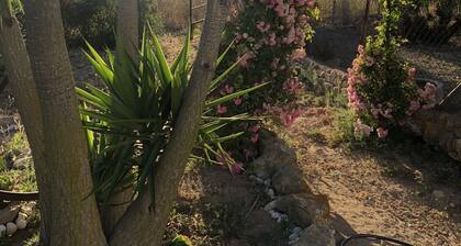 Vacation Home "Las Niñas" with Sea View, Private Terrace & Garden