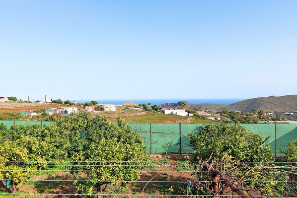 A vineyard with rows of grapevines, a green fence, and a distant view of houses and hills. - Holiday Home "Casa Las Toscas" with Mountain Views, Pool and Wi-Fi (Ingenio)