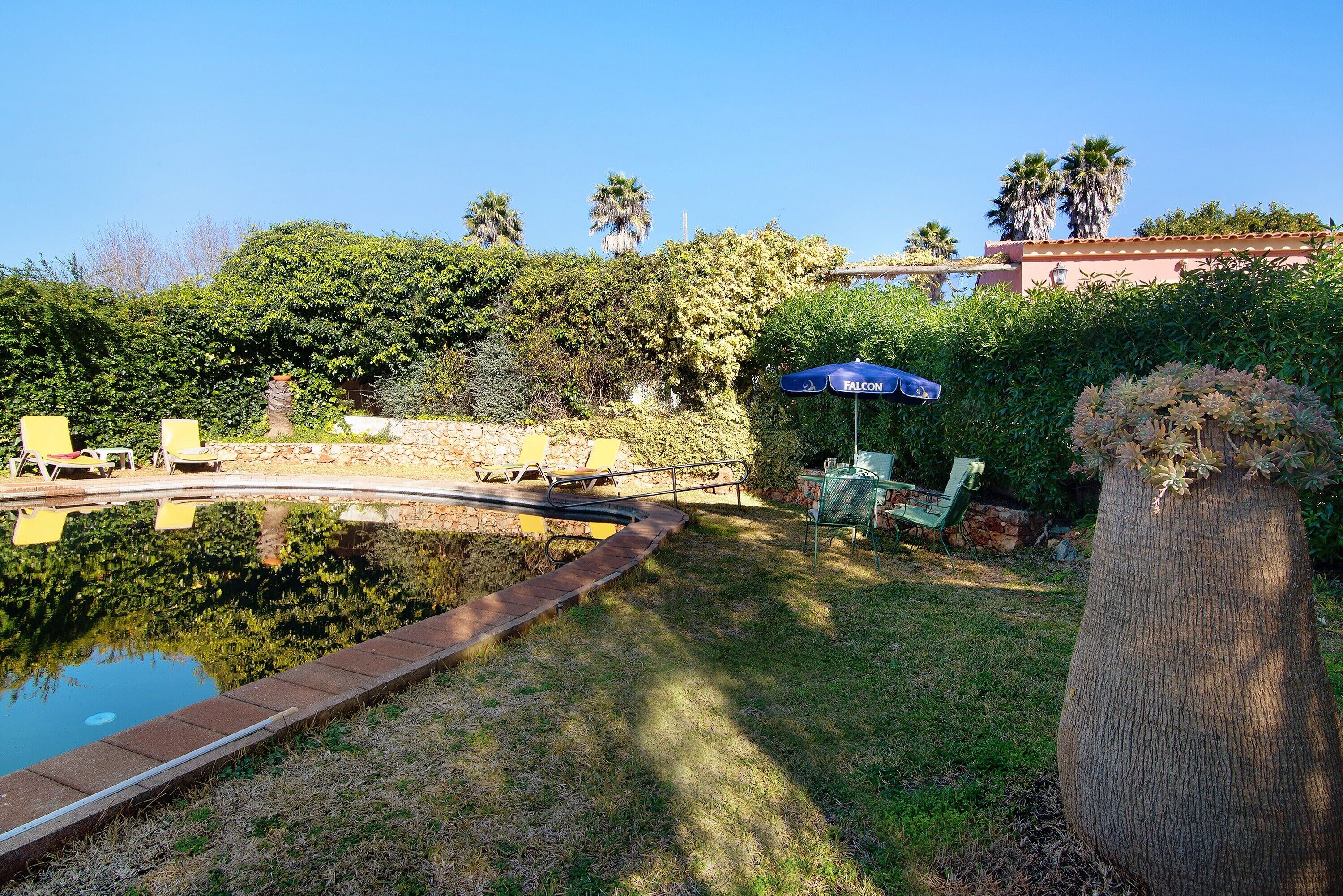 Une piscine bordée de pierres, entourée de pelouse et d’arbres.