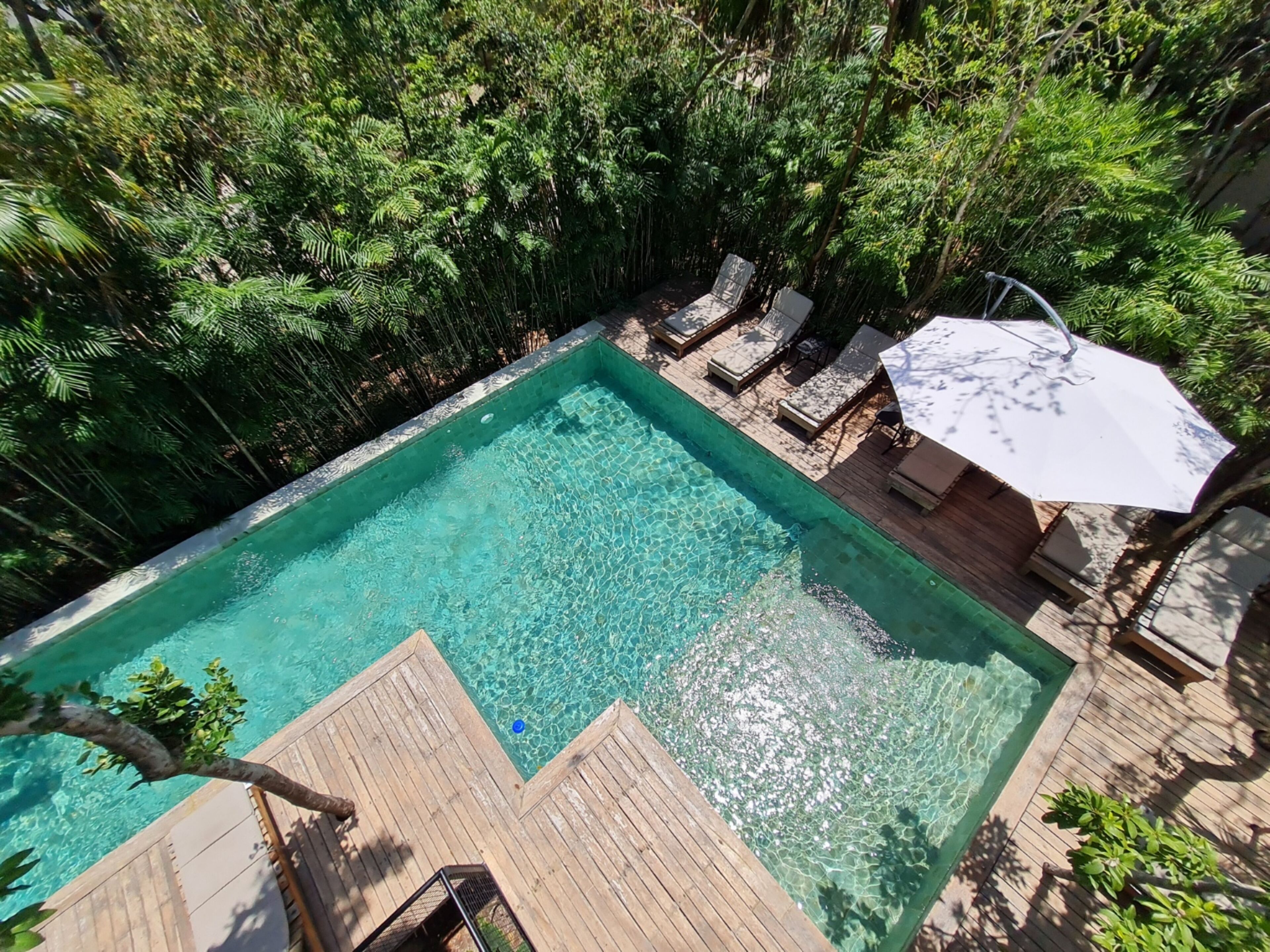 A rectangular swimming pool with clear water, surrounded by lush greenery and wooden deck.
