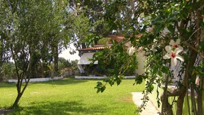 Un jardín bien cuidado con un sendero que lleva a un edificio de techo con tejas.