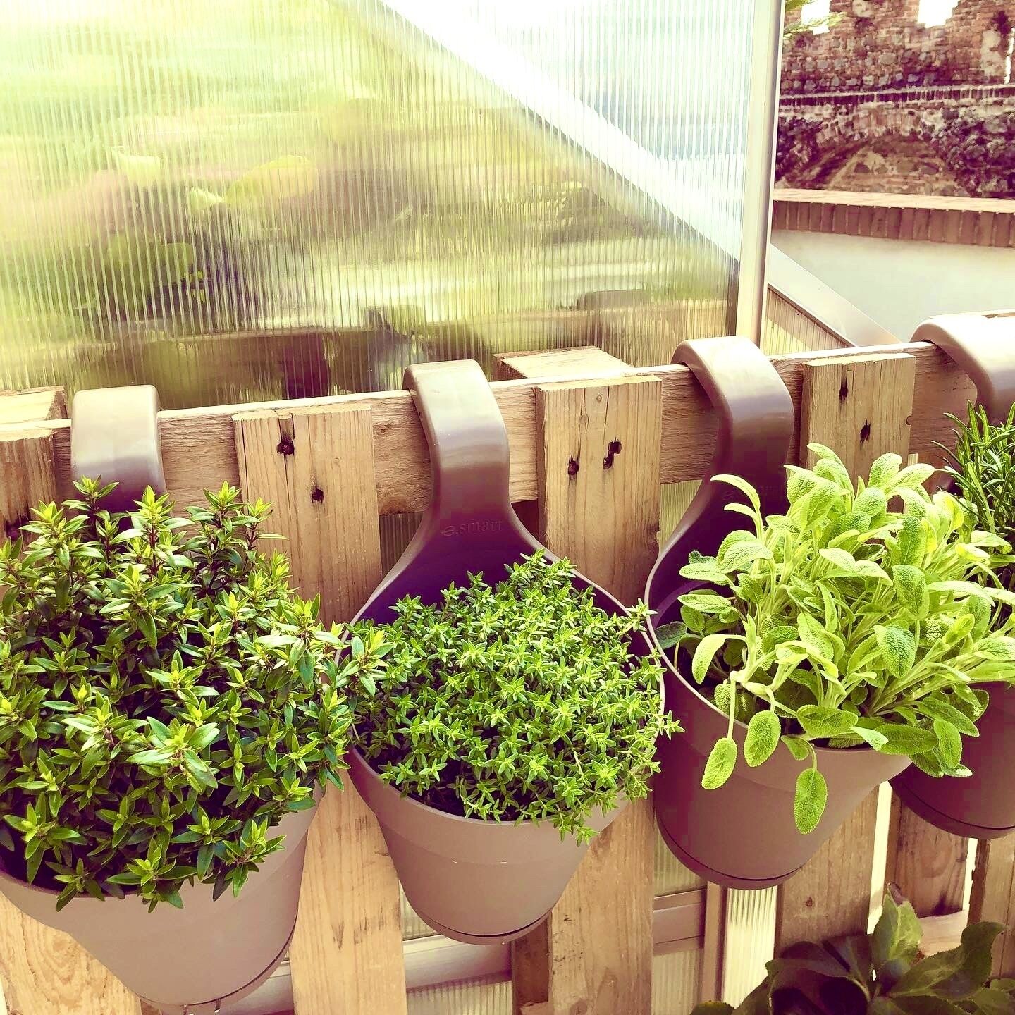 A wooden fence with multiple hanging planters containing green plants.