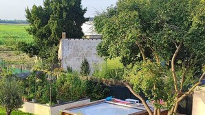 A backyard with a wooden deck, a hot tub, and a garden area. - Maison Chaleureuse en Bord de Loire (La bohalle)